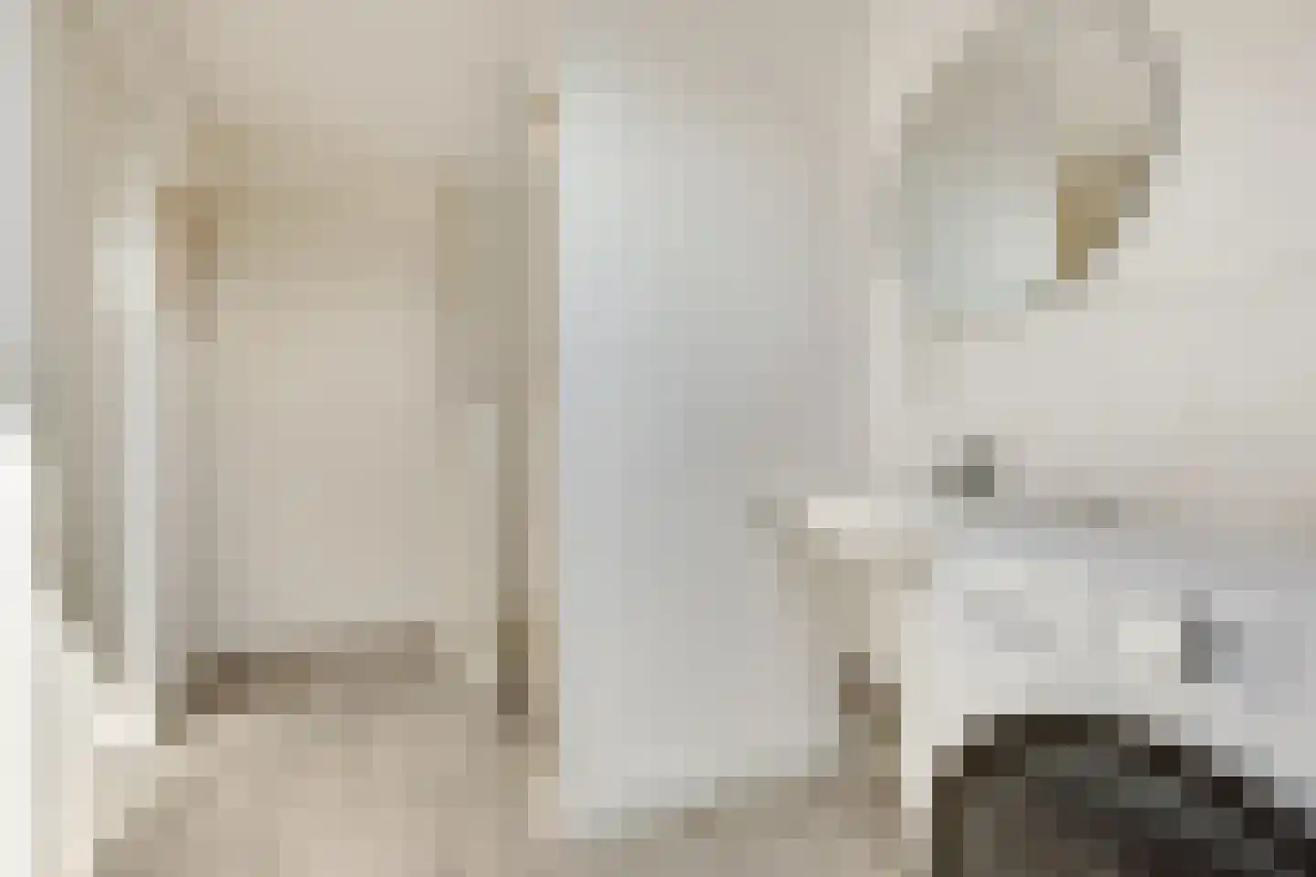 Scheerlingstraat 3 Vught thumbnail 32