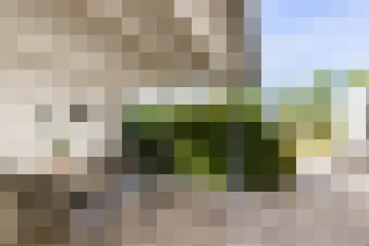 Scheermolen 27 Wierden thumbnail 10