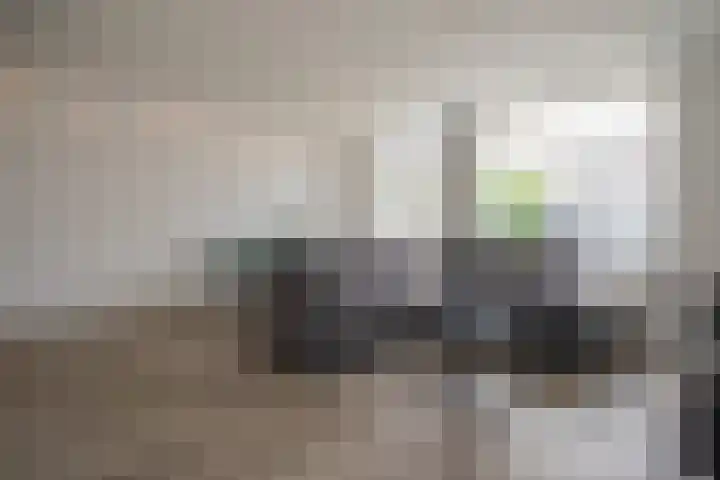 Scheermolen 27 Wierden thumbnail 14