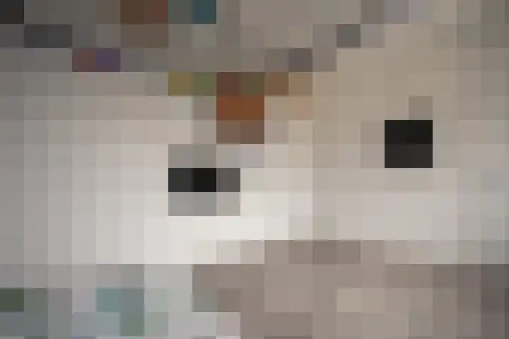 Scheermolen 27 Wierden thumbnail 23