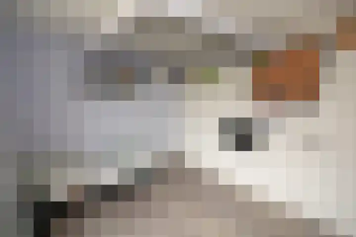 Scheermolen 27 Wierden thumbnail 24