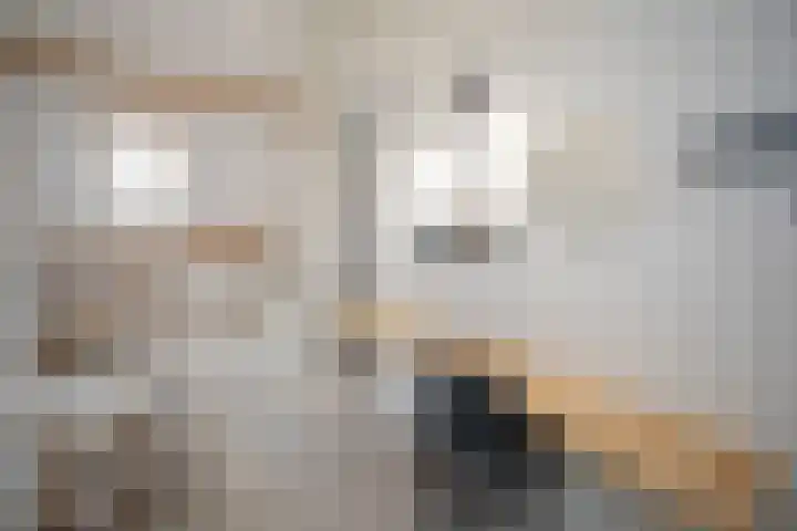 Scheermolen 27 Wierden thumbnail 34