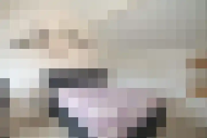 Scheermolen 27 Wierden thumbnail 35