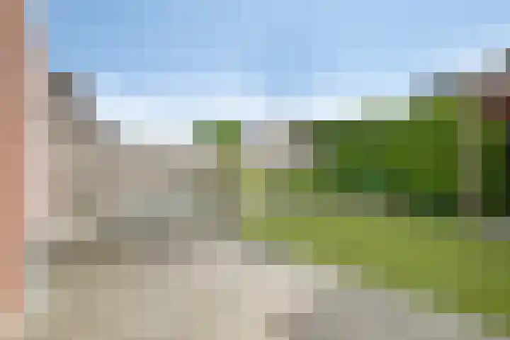 Scheermolen 27 Wierden thumbnail 43