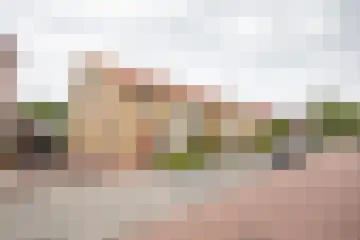 Scheermolen 27 Wierden thumbnail 5