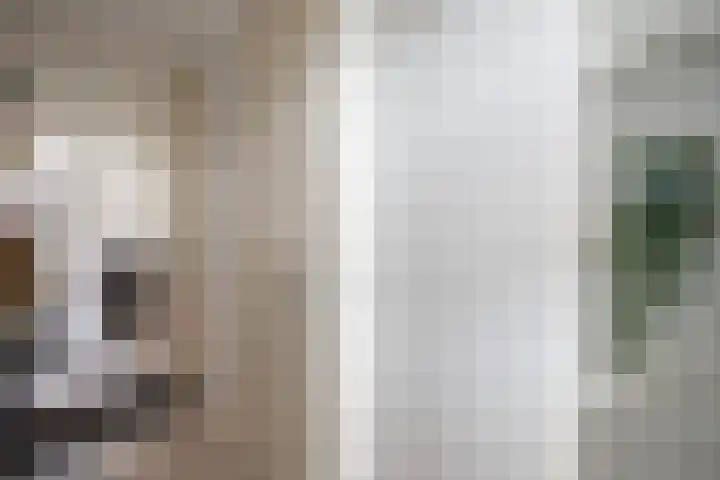Scheermolen 27 Wierden thumbnail 7
