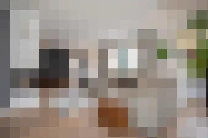 Scheermolen 47 Wierden thumbnail 12