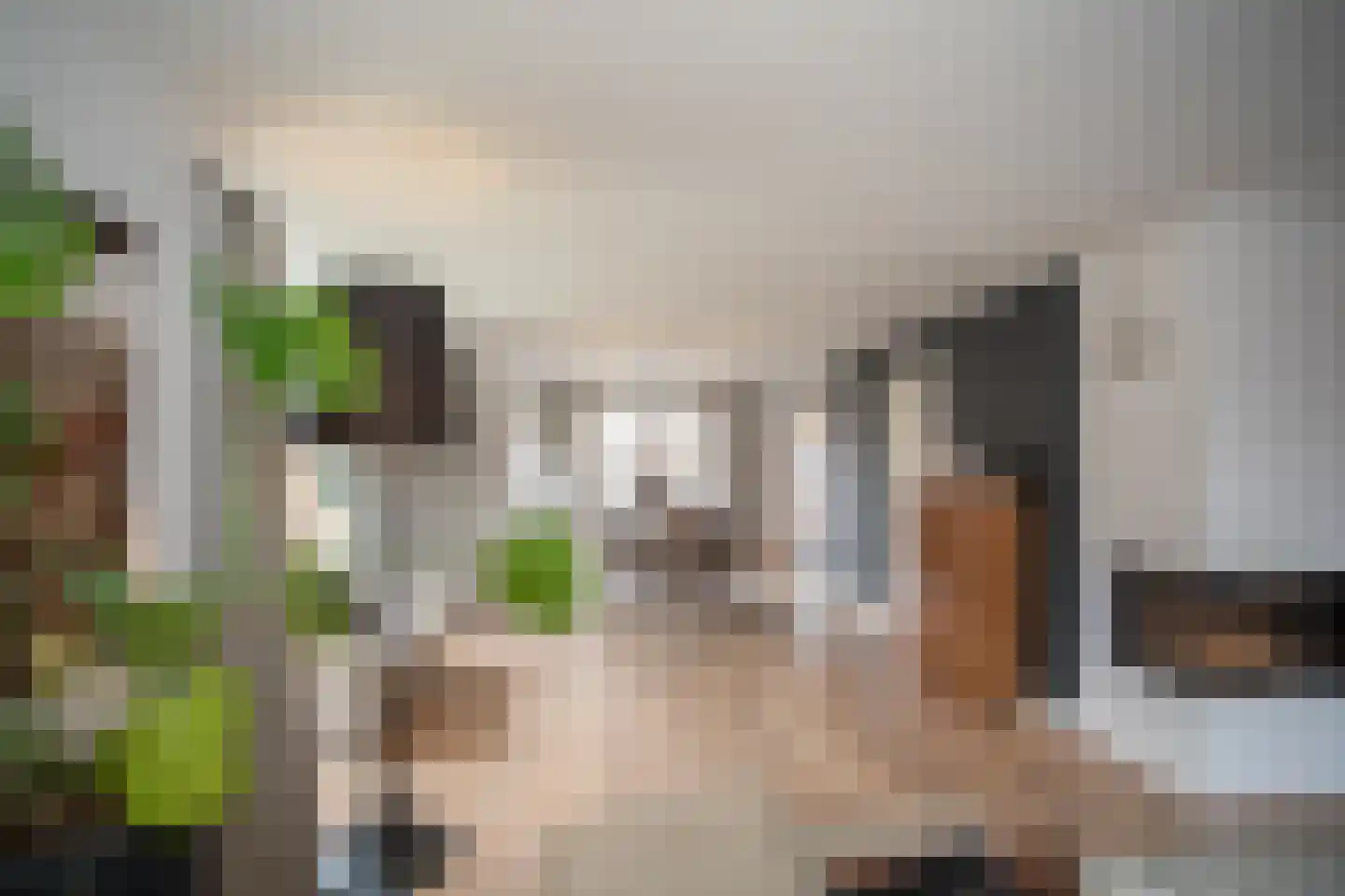 Scheermolen 47 Wierden thumbnail 16