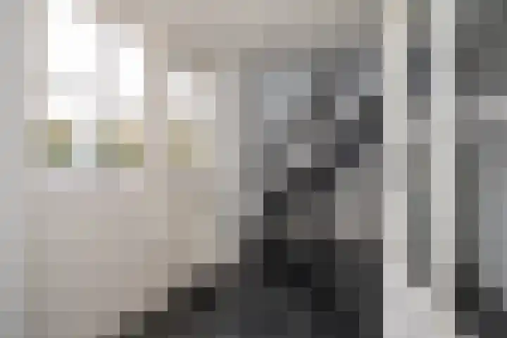 Scheermolen 47 Wierden thumbnail 27