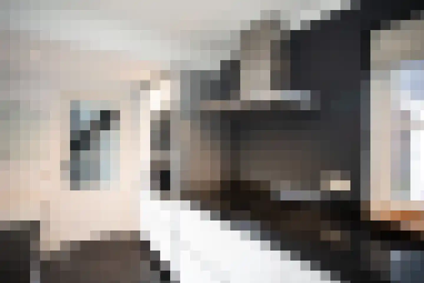 Scheermolen 47 Wierden thumbnail 27