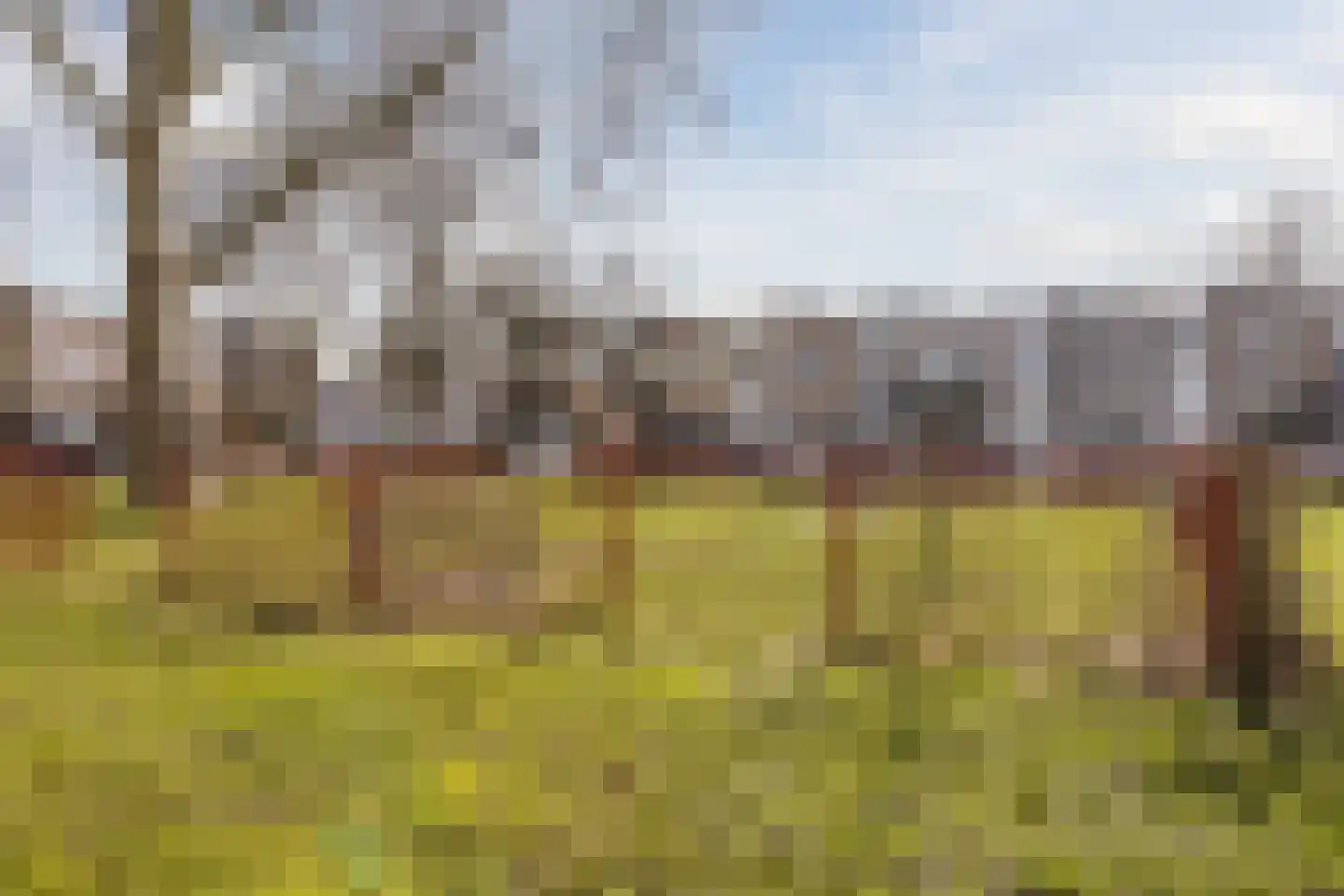 Scheermolen 47 Wierden thumbnail 31