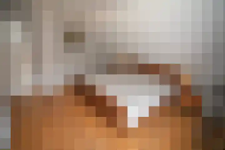 Scheermolen 47 Wierden thumbnail 34