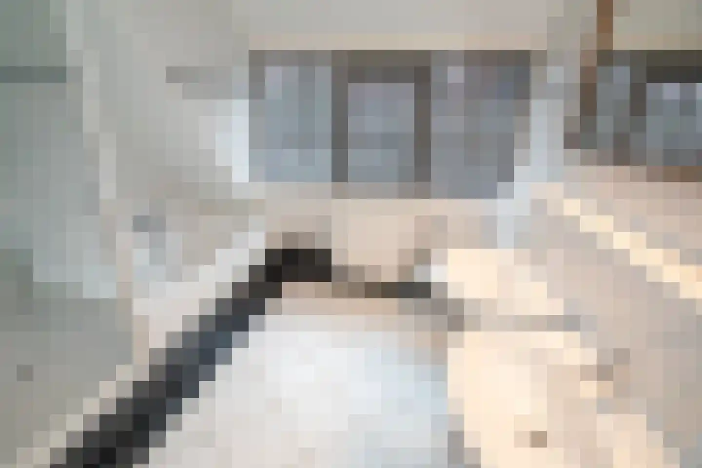 Scheermolen 47 Wierden thumbnail 38