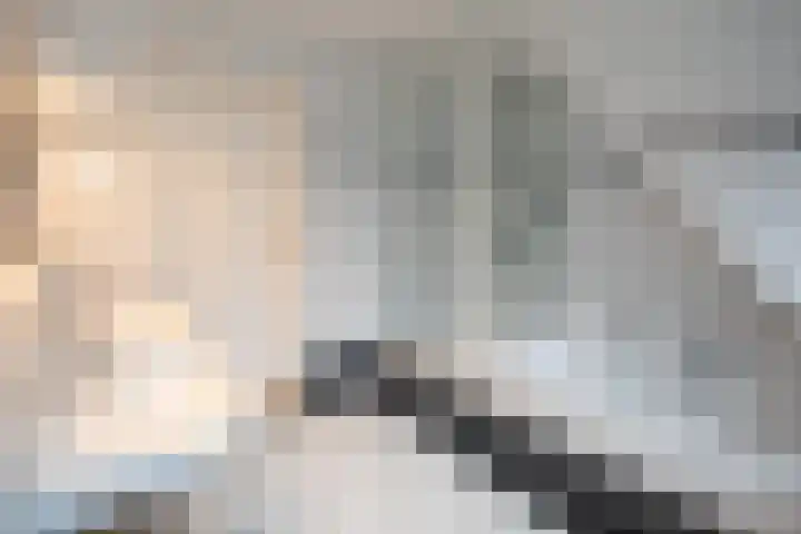 Scheermolen 47 Wierden thumbnail 39