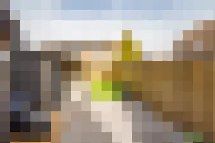 Scheermolen 47 Wierden thumbnail 4