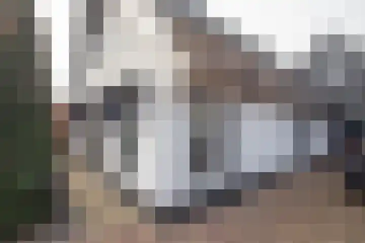 Scheermolen 47 Wierden thumbnail 4