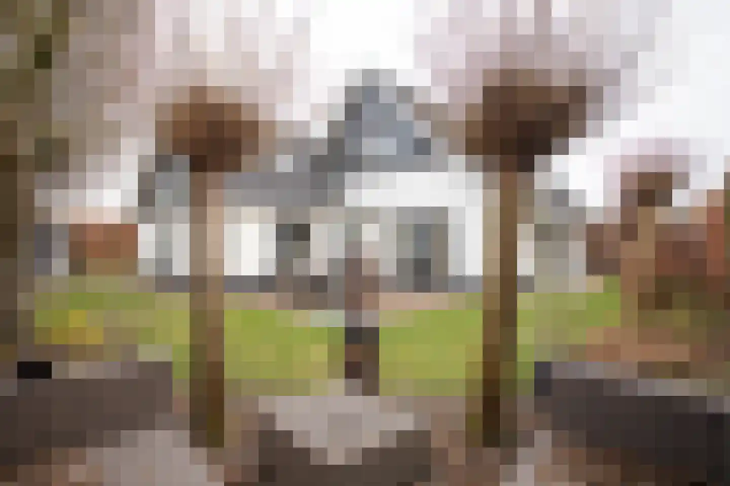 Scheermolen 47 Wierden thumbnail 4