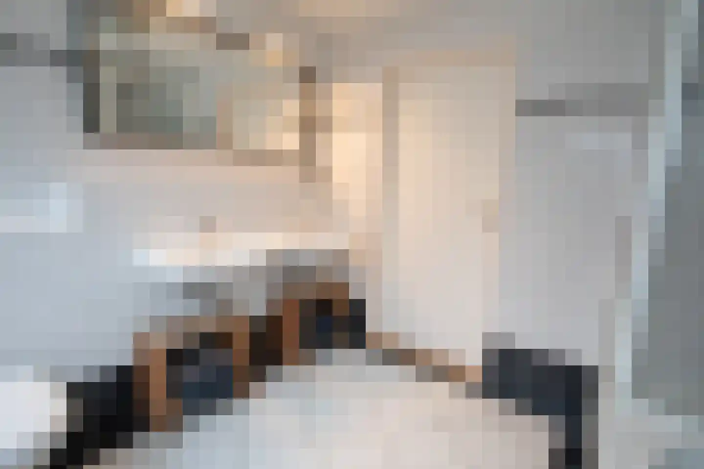 Scheermolen 47 Wierden thumbnail 42