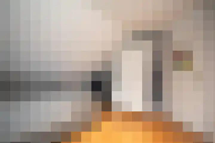 Scheermolen 47 Wierden thumbnail 43