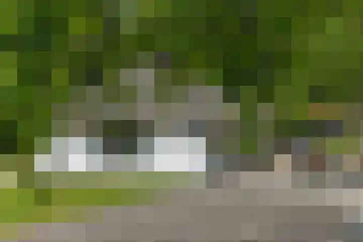 Scheermolen 47 Wierden thumbnail 45