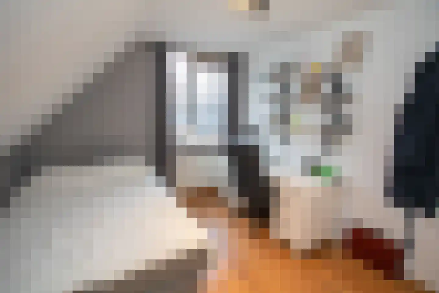 Scheermolen 47 Wierden thumbnail 46