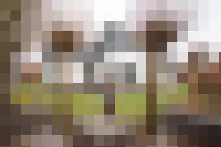 Scheermolen 47 Wierden thumbnail 50