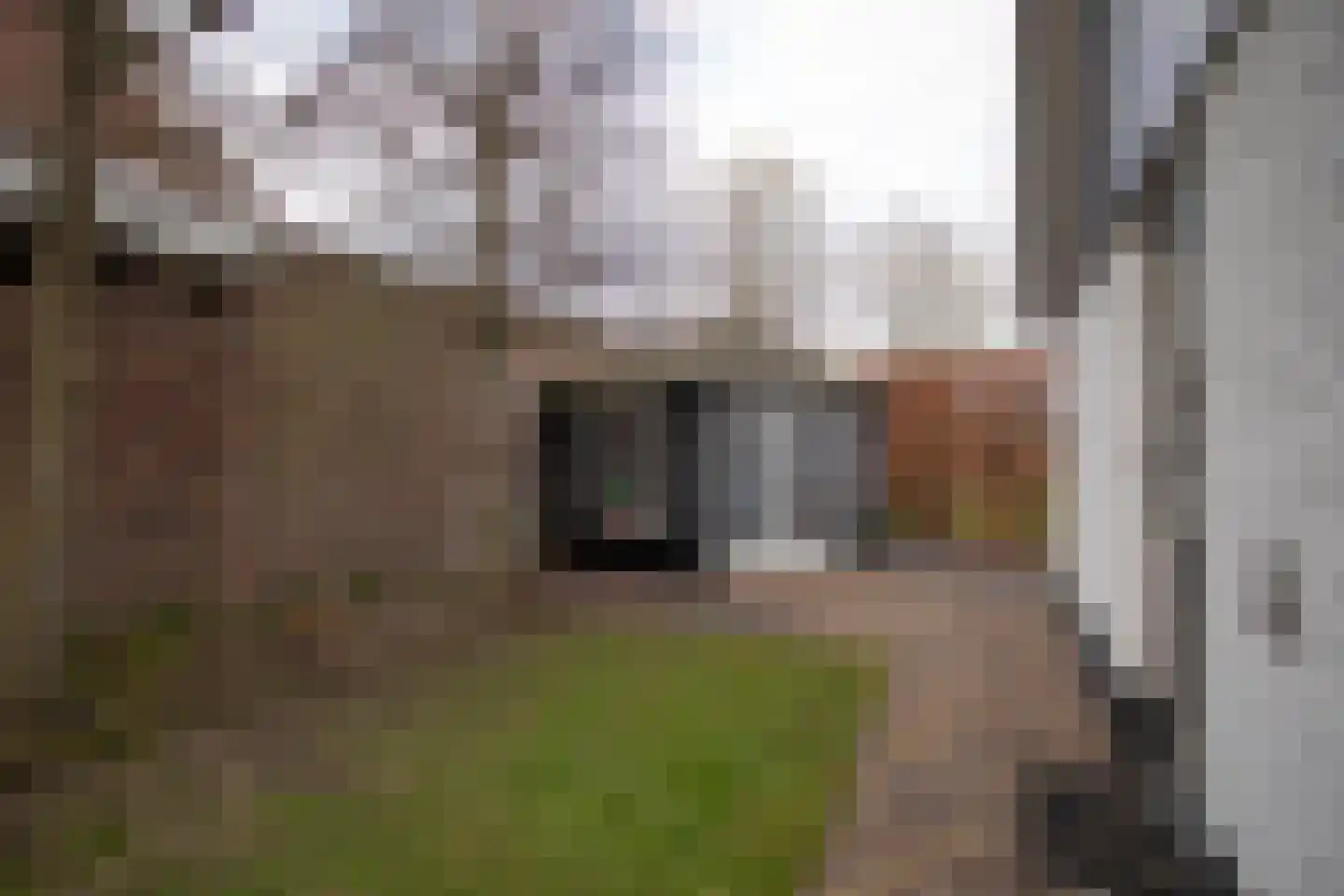 Scheermolen 47 Wierden thumbnail 55