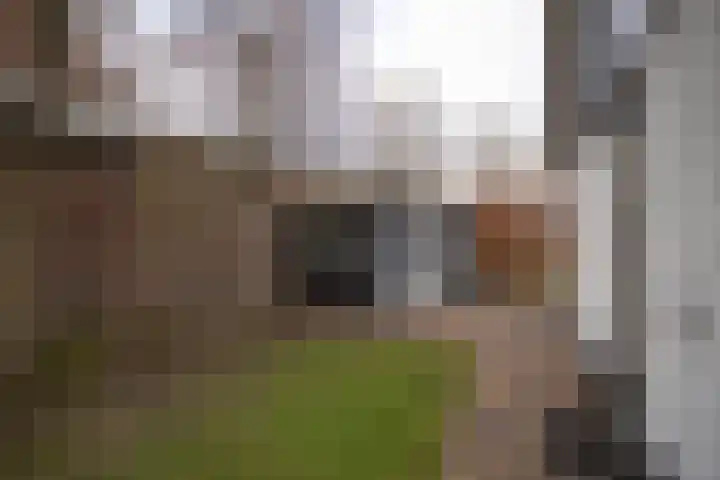 Scheermolen 47 Wierden thumbnail 55