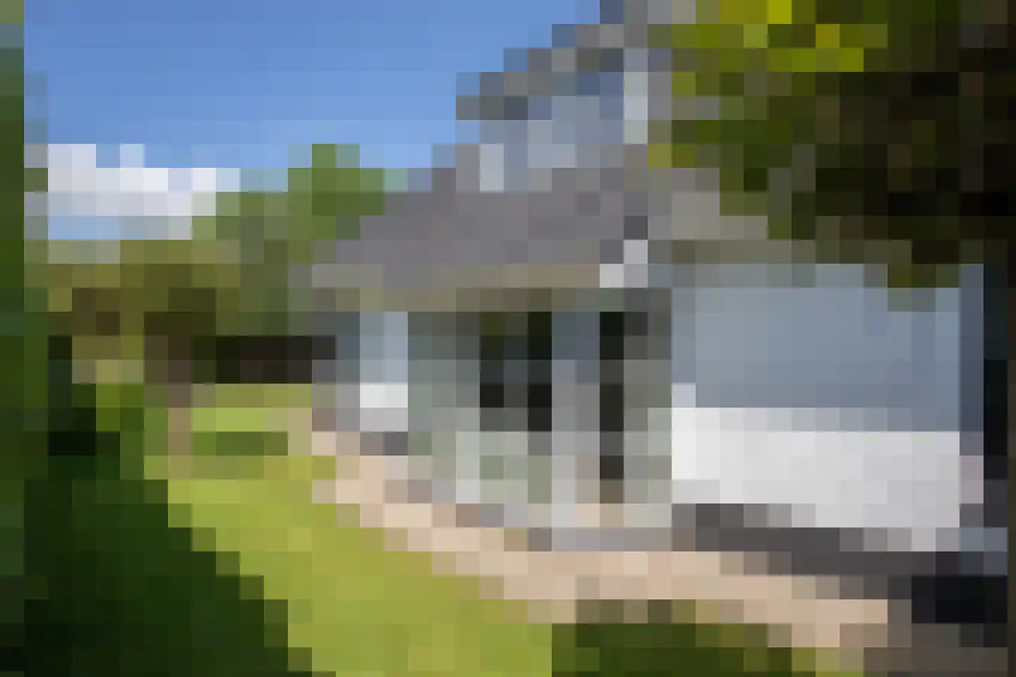 Scheermolen 47 Wierden thumbnail 56