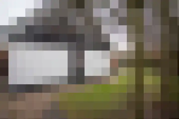 Scheermolen 47 Wierden thumbnail 57