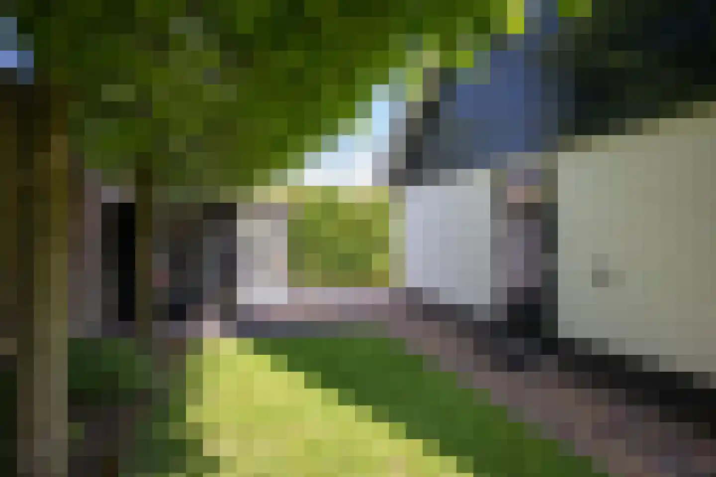 Scheermolen 47 Wierden thumbnail 58