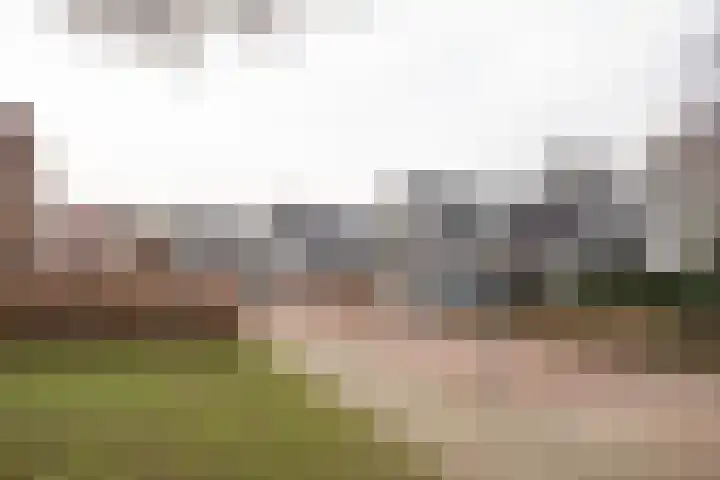 Scheermolen 47 Wierden thumbnail 60
