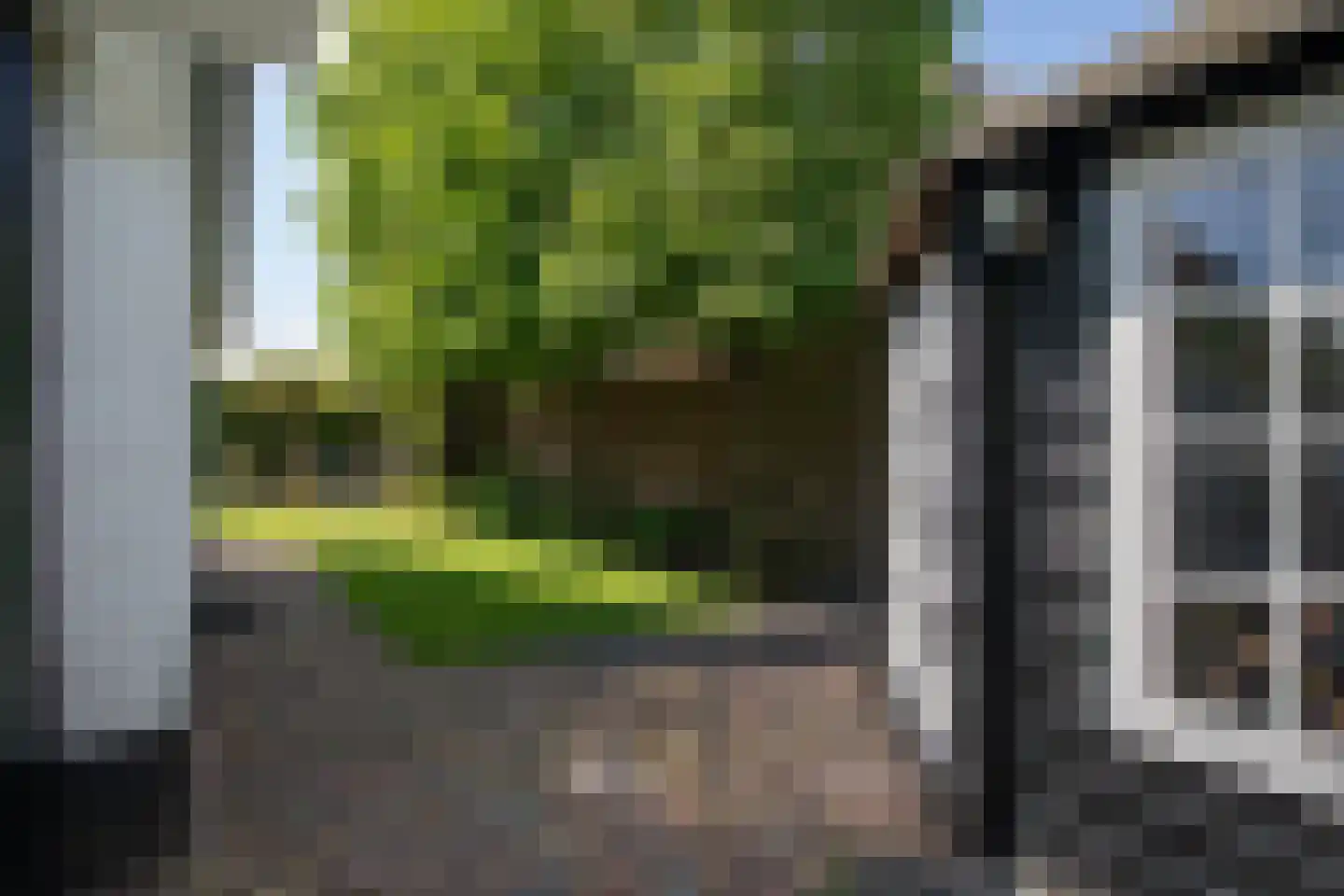 Scheermolen 47 Wierden thumbnail 61