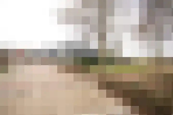 Scheermolen 47 Wierden thumbnail 61