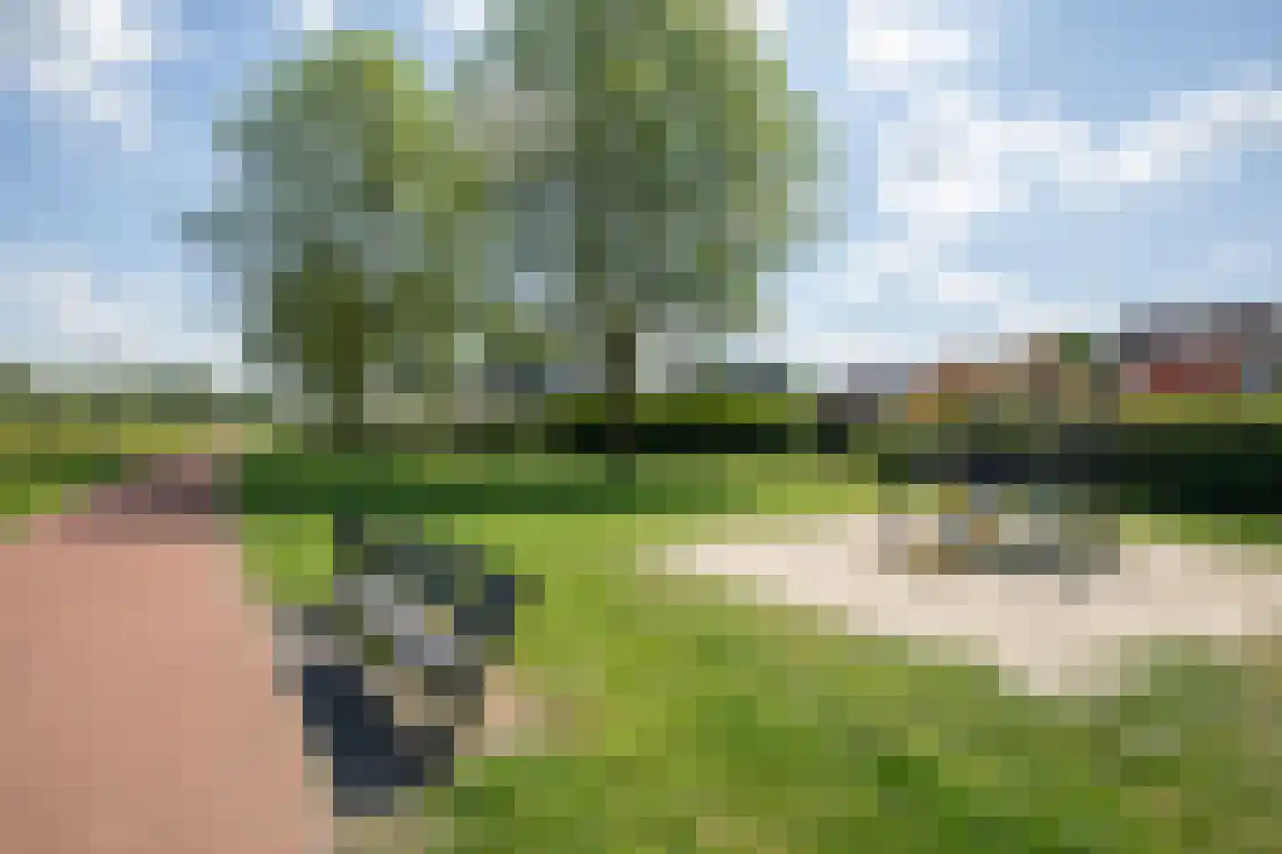 Scheermolen 47 Wierden thumbnail 63