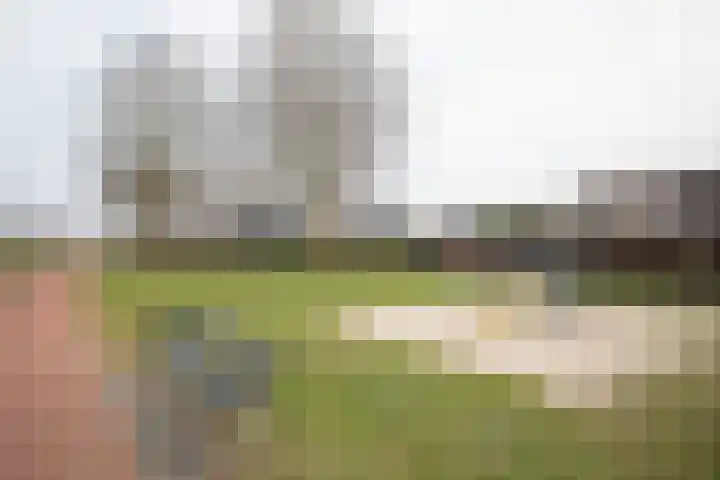 Scheermolen 47 Wierden thumbnail 63