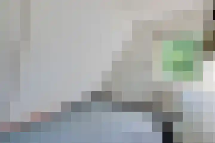 Scheermolen 47 Wierden thumbnail 66