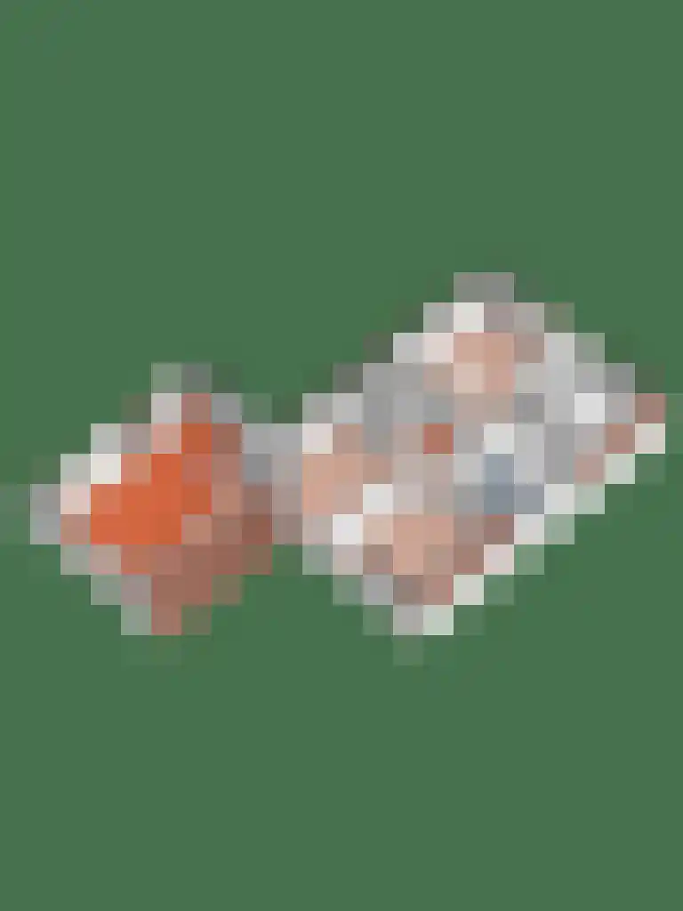 Scheermolen 47 Wierden thumbnail 67