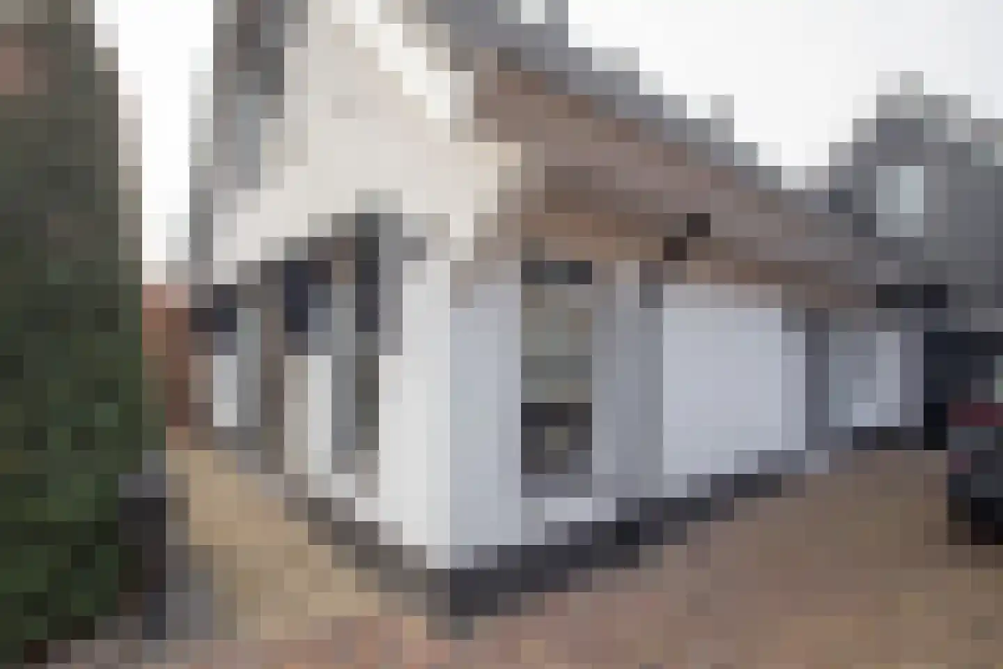 Scheermolen 47 Wierden thumbnail 7
