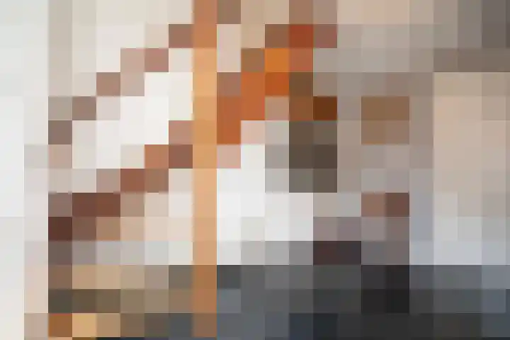 Scheermolen 47 Wierden thumbnail 8