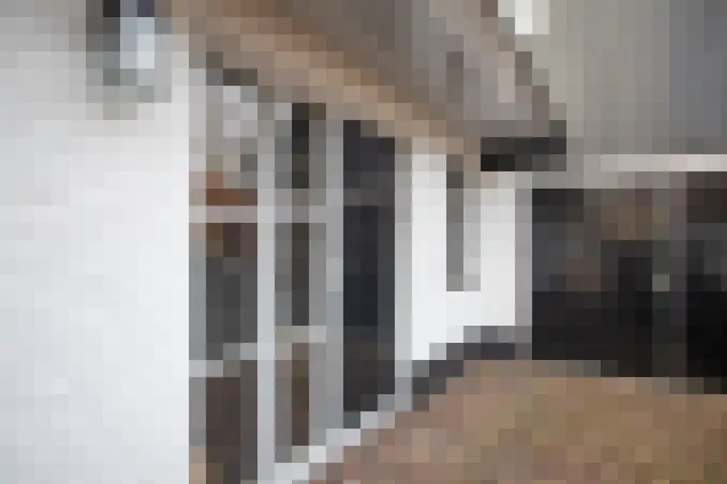 Scheermolen 47 Wierden thumbnail 8