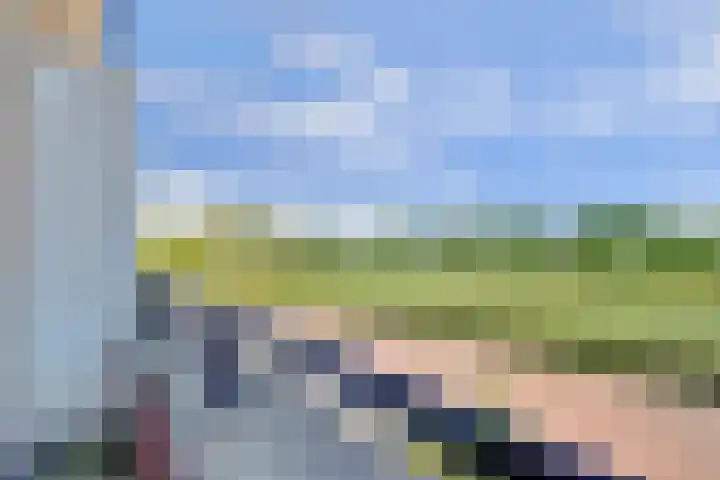 Scheermolen 58 Wierden thumbnail 12
