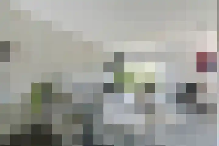 Scheermolen 58 Wierden thumbnail 4