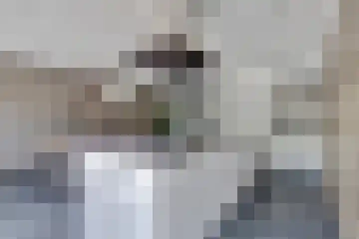 Scheermolen 58 Wierden thumbnail 6