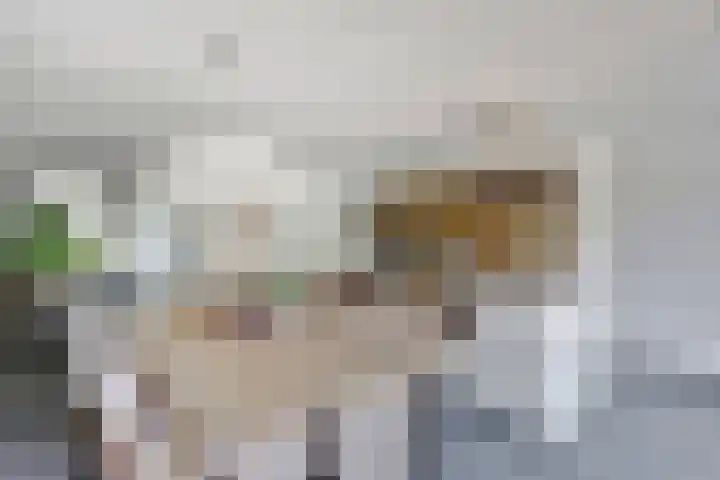 Scheermolen 58 Wierden thumbnail 7