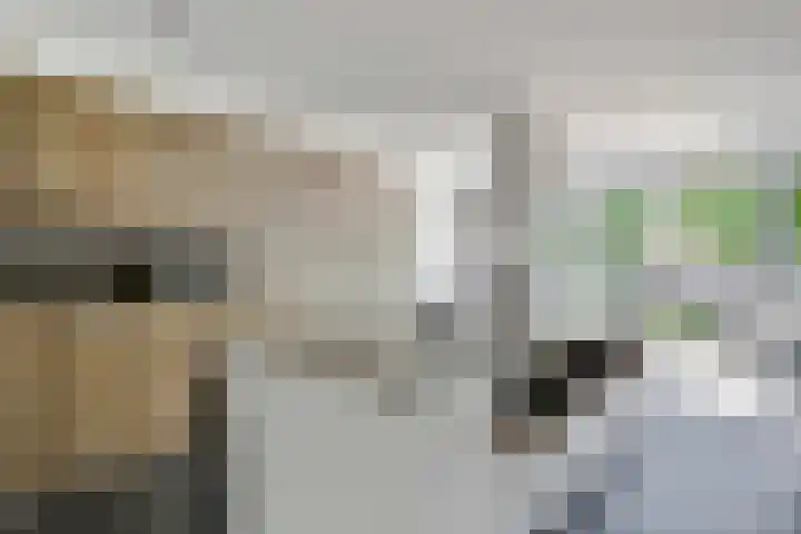 Scheermolen 58 Wierden thumbnail 8