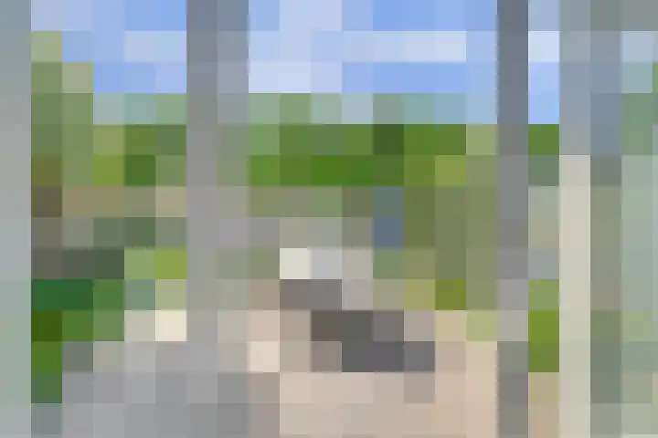 Scheermolen 58 Wierden thumbnail 9