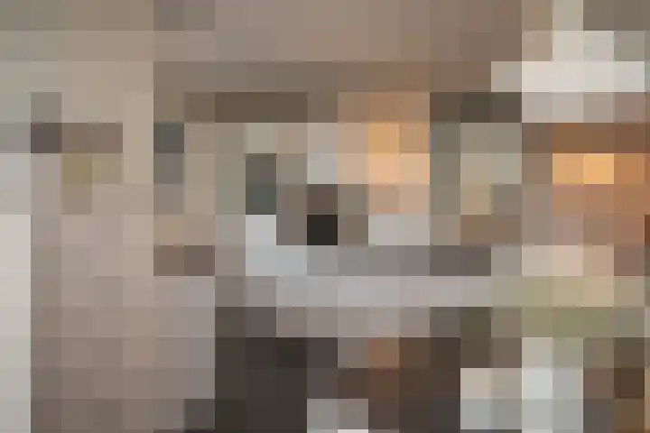 Scheermolen 67 Wierden thumbnail 22