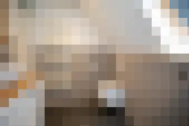 Scheermolen 67 Wierden thumbnail 34