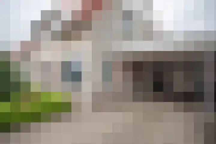 Scheermolen 67 Wierden thumbnail 4